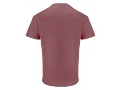 Devons T-Shirt (dusty red)