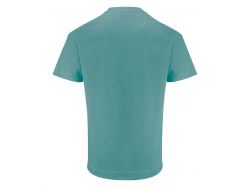 Devons T-Shirt (aloe green)