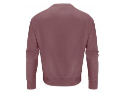 Hopedale Crewneck (dusty red)