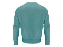 Hopedale Crewneck (aloe green)