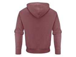 Hopedale Hoodie (dusty red)