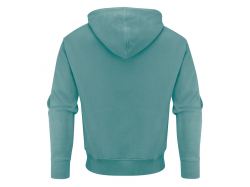 Hopedale Hoodie (aloe green)