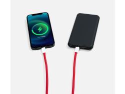 Кабель-ланьярд energyFlex Pro, красный