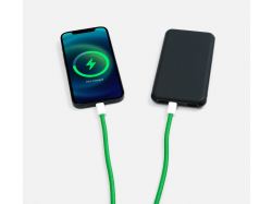 Кабель-ланьярд energyFlex Pro, зеленый