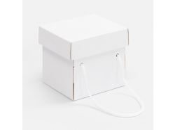 Коробка Kitbag, ver.2, белая