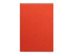 Бизнес - блокнот А4 (198 х 285 мм) 