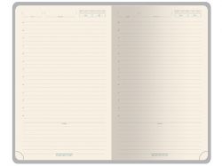 Ежедневник недатированный А5 "Premier", серый