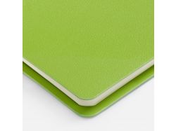 Ежедневник Ringo, недатированный, зеленый