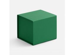 Коробка Alian, зеленая