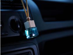 Ароматизатор воздуха Flava Deluxe, зеленый чай и черная смородина