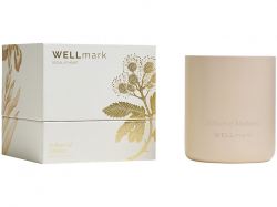 Ароматическая свеча Wellmark "Echoes of Kindness"- Ecru бежевый
