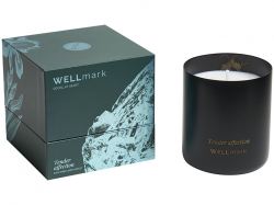Ароматическая свеча Wellmark "Tender Affection" - сплошной черный