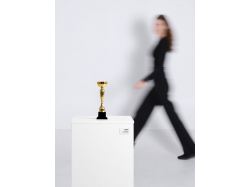 Кубок Vinna, большой, золотистый