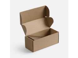 Стела Challenger