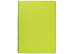 Ежедневник Spring Shall, недатированный, зеленый