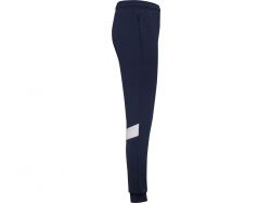 Брюки спортивные «Rodas» мужские, синий нэйви