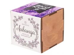 Набор Lavendero