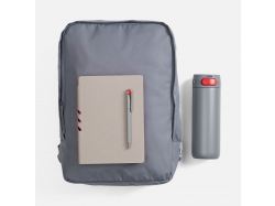 Набор Flexpen Travel, серый с красным