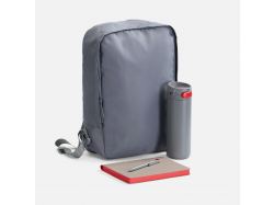 Набор Flexpen Travel, серый с красным