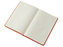 Блокнот в твердой обложке A5 «Виспи 2.0» в клетку, оранжевый