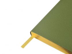 Ежедневник недатированный А5 "Verde" с нашивкой, зеленый