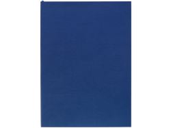 Ежедневник Flat Light ver.2, недатированный, синий
