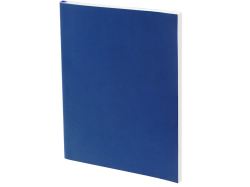 Ежедневник Flat Light ver.2, недатированный, синий