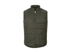 Mount Adams Light Vest (ivy green)