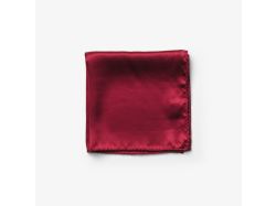 Solid Hankie & Lapel Pin (wine)