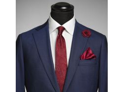 Solid Paisley Tie (wine)
