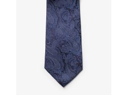 Solid Paisley Tie (navy)