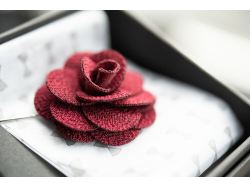 Solid Hankie & Lapel Pin (navy)
