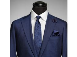 Solid Paisley Tie (navy)