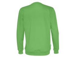 Crew Neck (green)