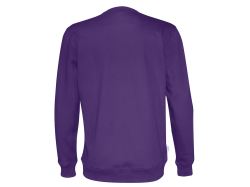 Crew Neck (purple)