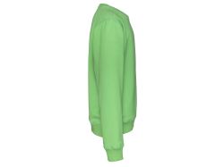 Crew Neck Kid (green)