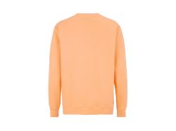 Key Crew Neck (Gots) (peach)
