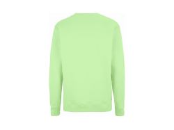 Key Crew Neck (Gots) (mint green)