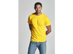T-Shirt (purple)