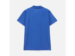 Рубашка поло мужская Prescott Men 170, ярко-синяя (royal)