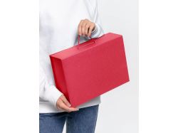 Коробка Case, красная