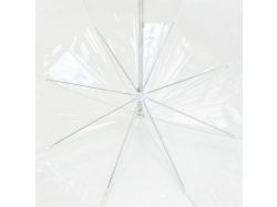 Прозрачный зонт-трость Clear