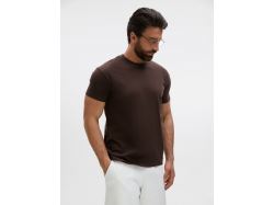 Футболка унисекс Regent 150, темно-коричневая (шоколад)