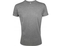 Футболка мужская Regent Fit 150, серый меланж