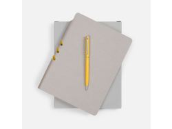 Набор Flexpen, серебристо-желтый