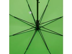Зонт-трость Standard, зеленое яблоко