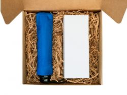 Подарочный набор «On the go» с термокружкой и зонтом