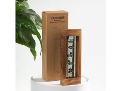 Термометр «Галилей» в деревянном корпусе, серый